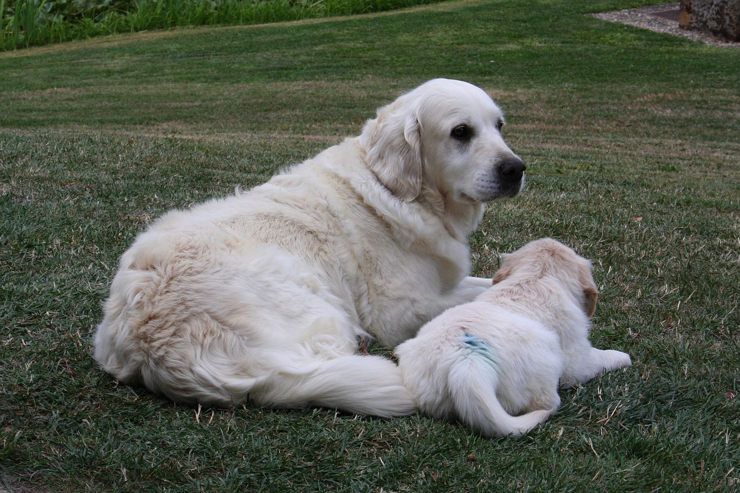 11.08.18 blau & Maya IMG_9731 A k