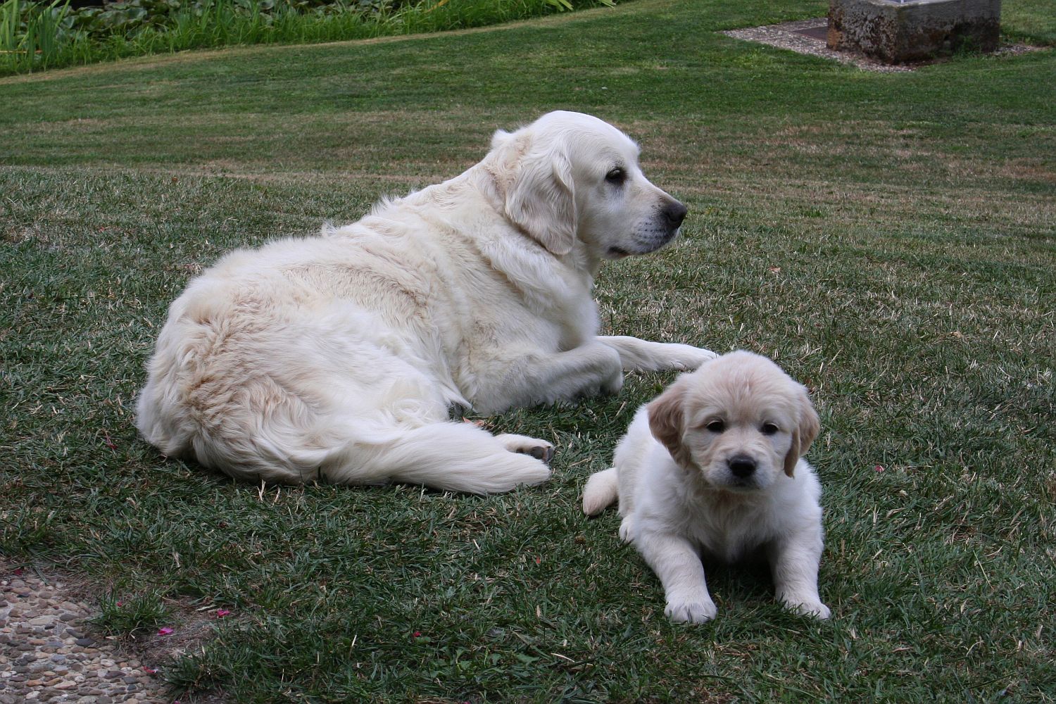 11.08.18 blau & Maya IMG_9734 A k