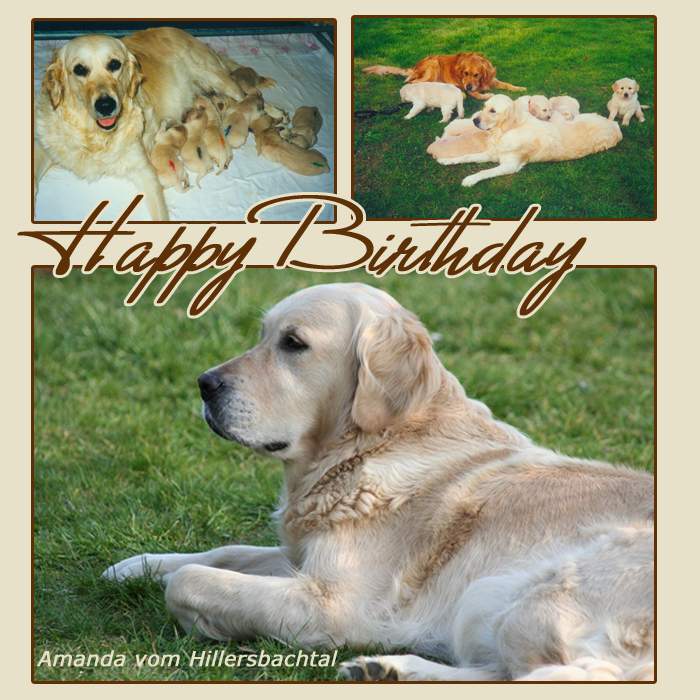 Happy Birthday A-Chen - 08.03.01 ab 2012 Happy Birthday A-Chen - 08.03.01 ab 2012