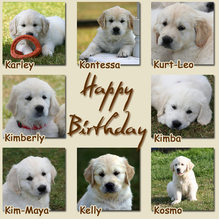 Happy Birthday K-Chen - 20.05.2008 Happy Birthday K-Chen - 20.05.2008