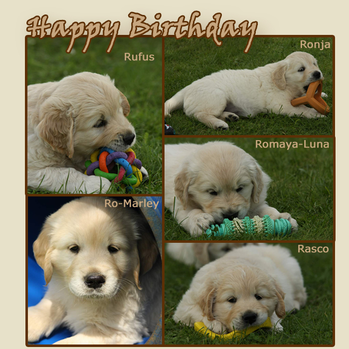 Happy Birthday R-Chen - 12.05.12 - ab 2013 Happy Birthday R-Chen - 12.05.12 - ab 2013