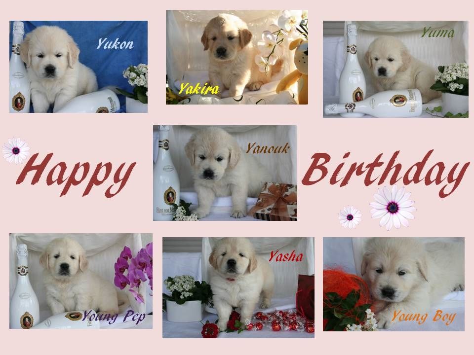 Happy Birthday Y-Chen - 29.05.17 Happy Birthday Y-Chen - 29.05.17