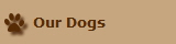 Our Dogs