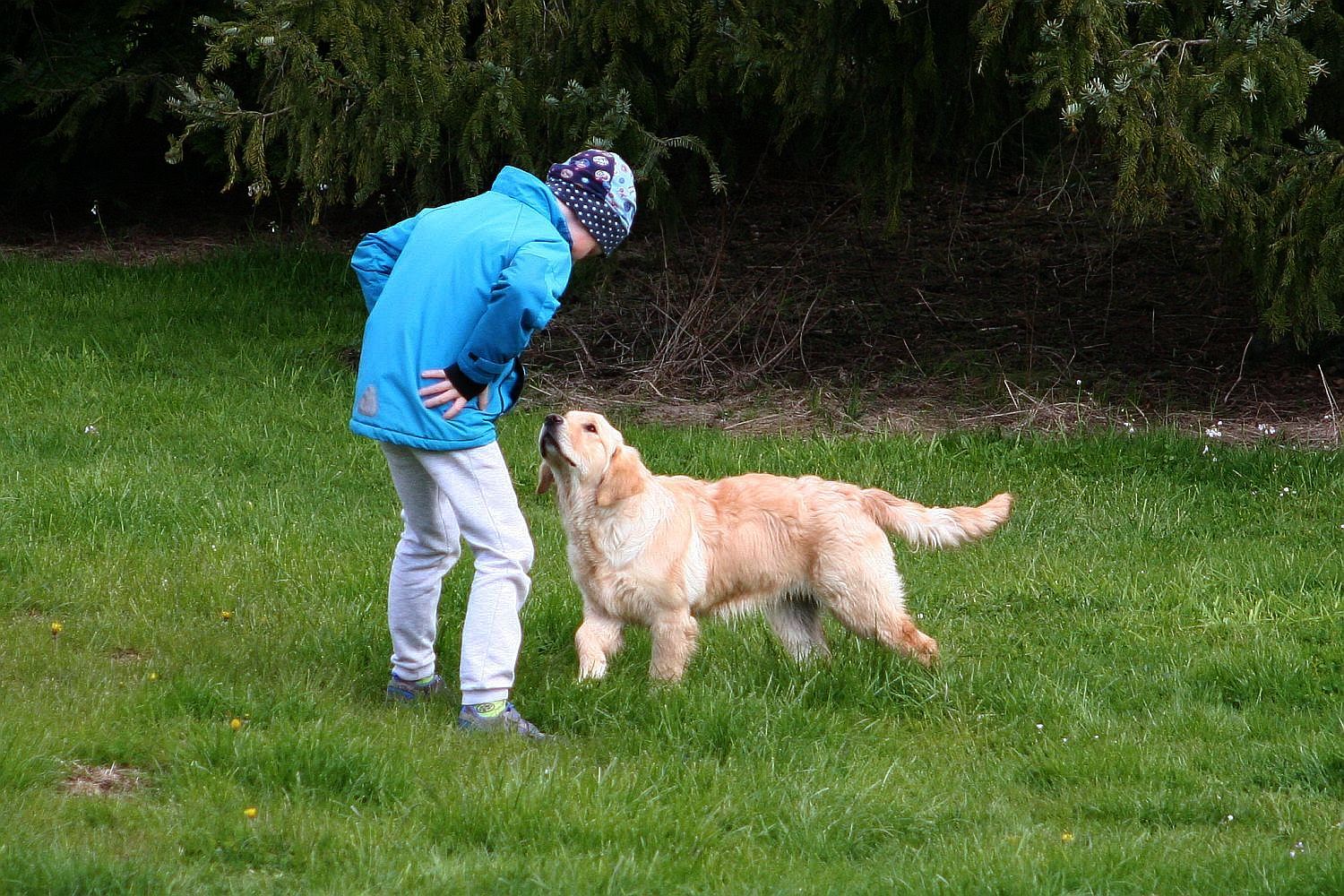 004 22.04.17 IMG_4134 AA k