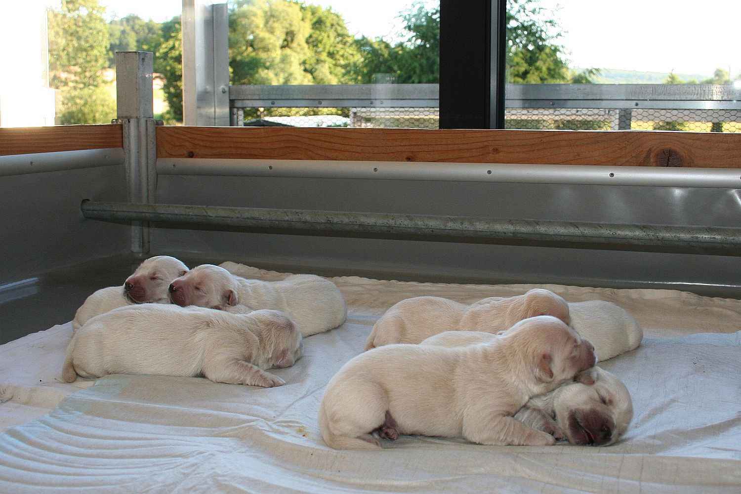 03.07.18 IMG_8314 A k