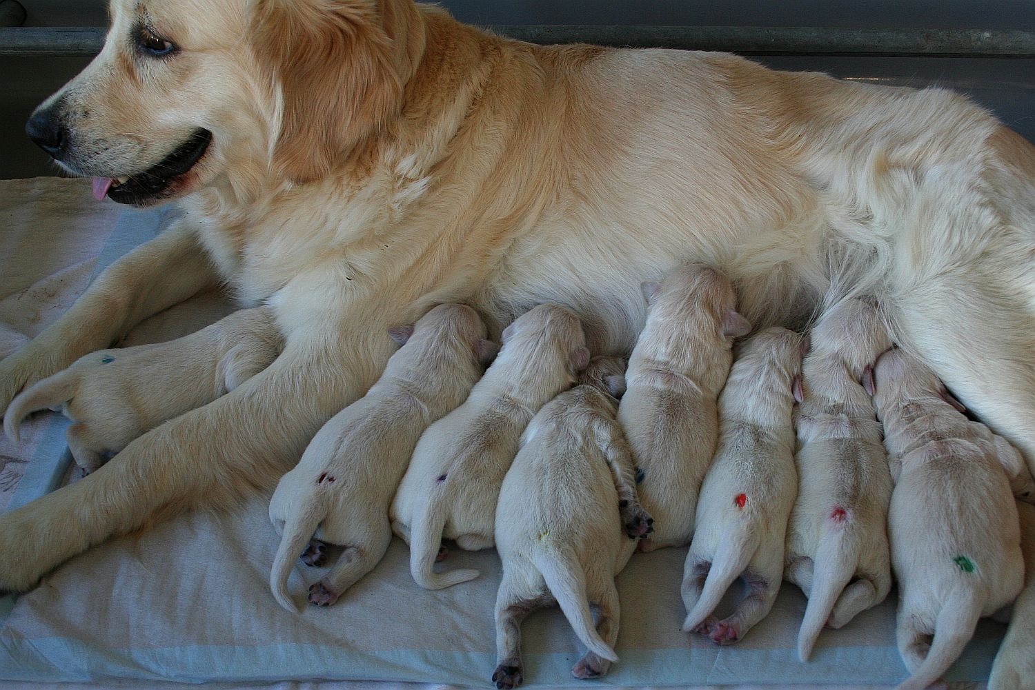 03.07.18 IMG_8327 A k