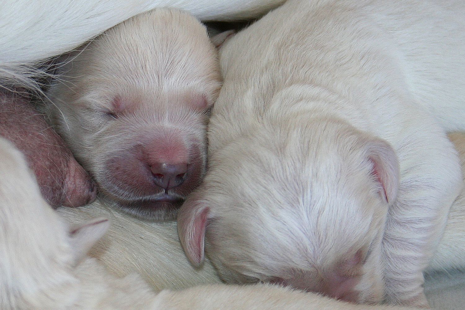 03.07.18 IMG_8354 A k