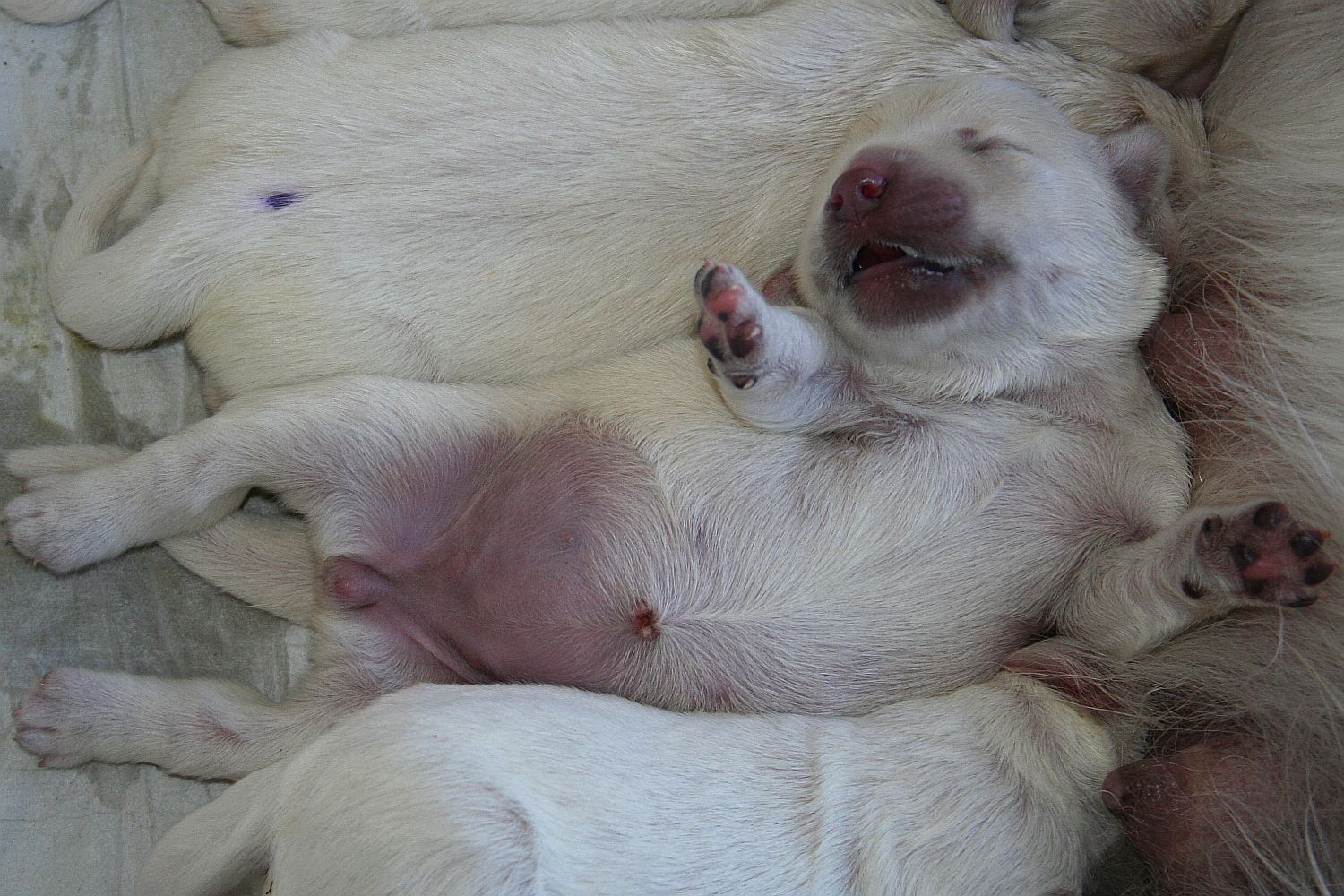 03.07.18 IMG_8357 A k