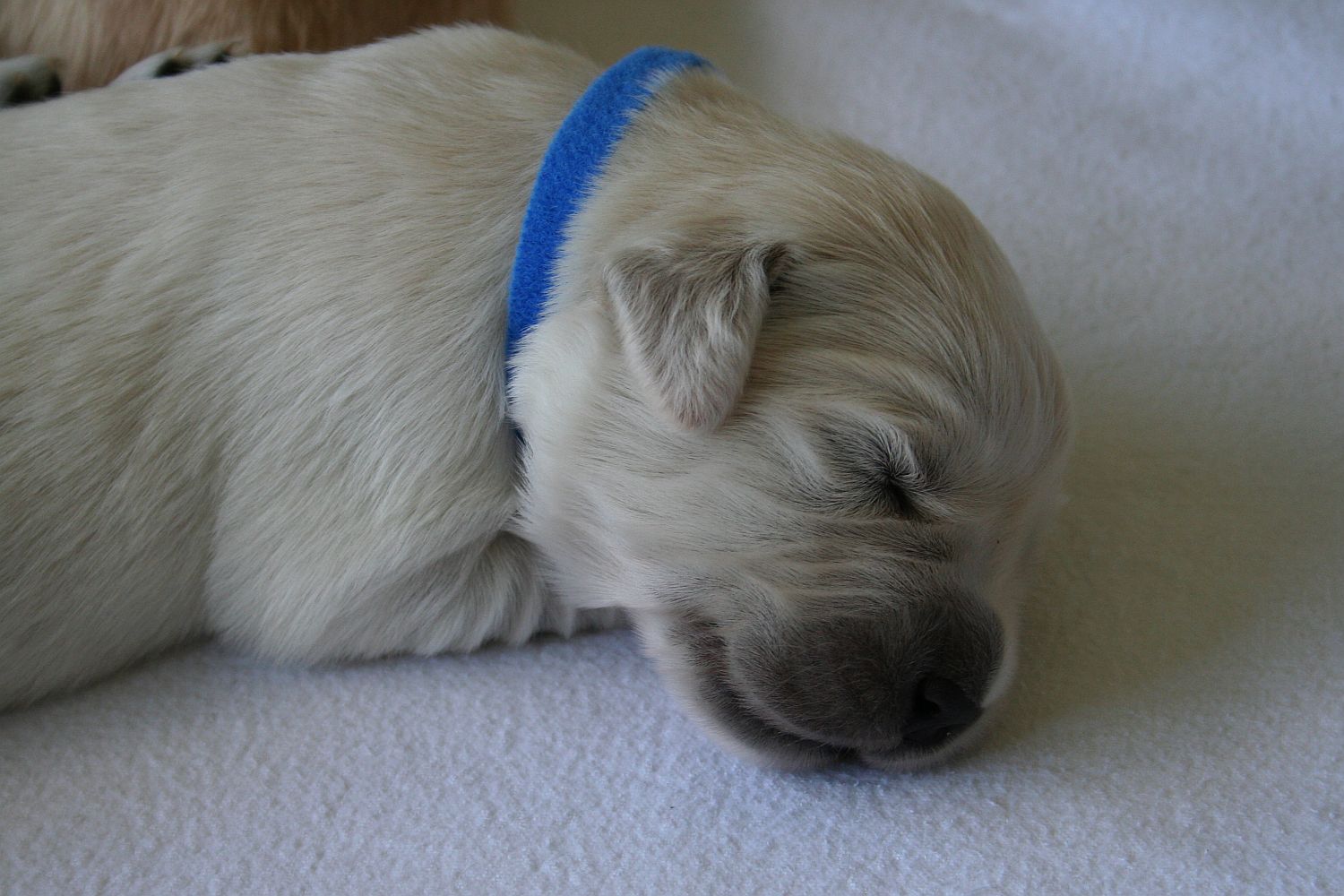 07.06.17 IMG_6108 A k