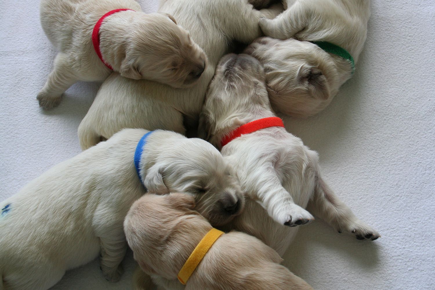 07.06.17 IMG_6113 A k