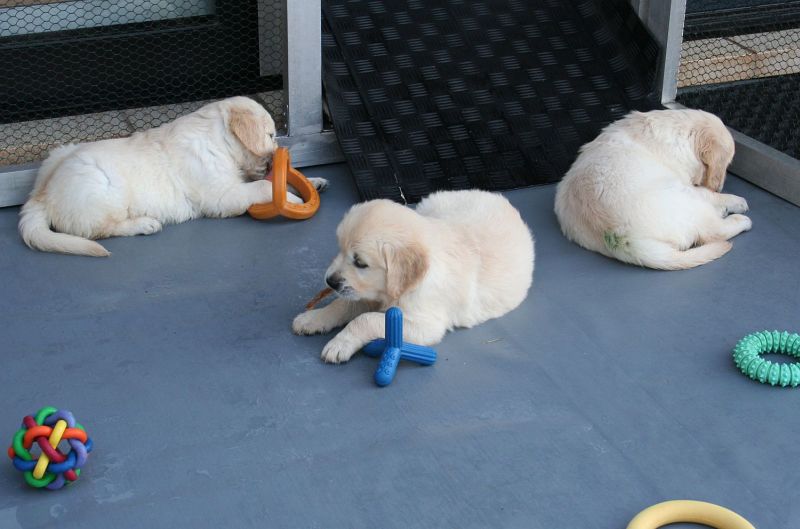 07.07.15 IMG_5374 A gk