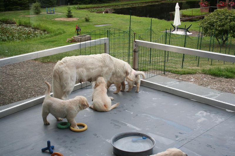 07.07.15 IMG_5381 gk