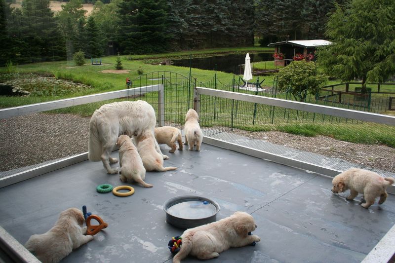 07.07.15 IMG_5382 gk