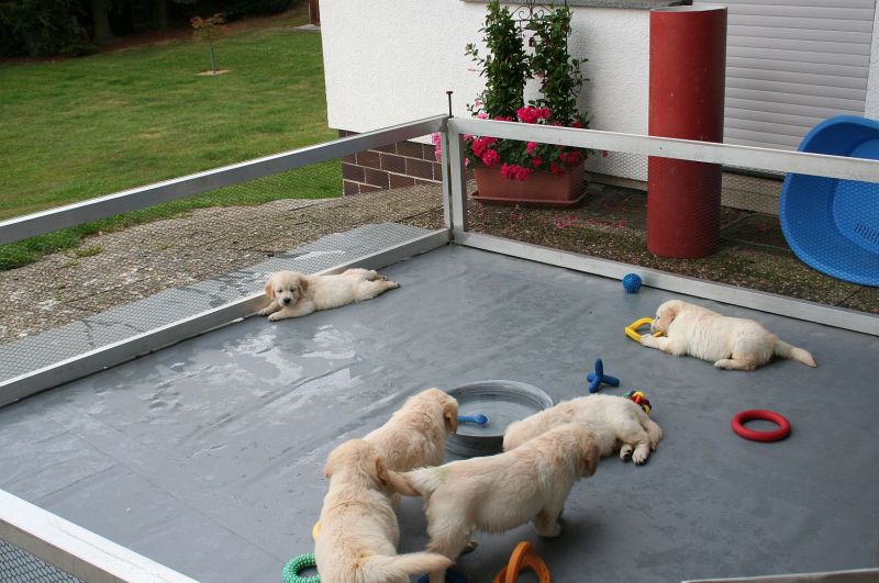 07.07.15 IMG_5412 A gk