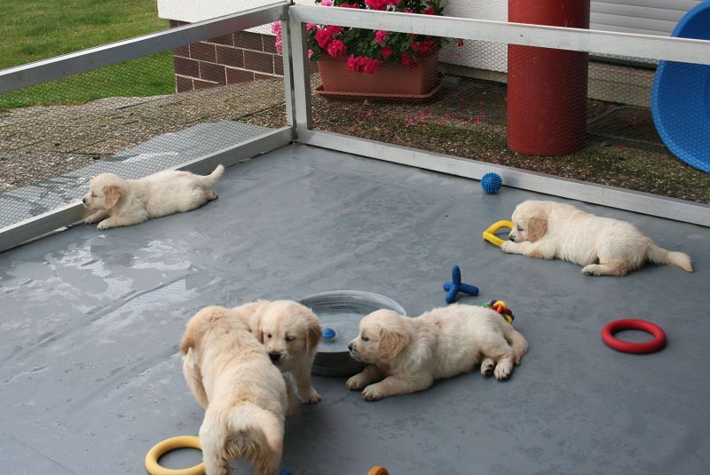 07.07.15 IMG_5413 A gk