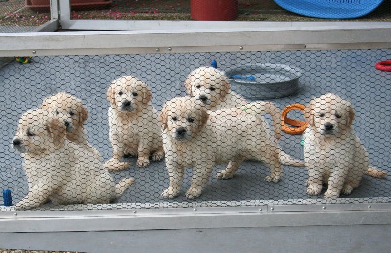 07.07.15 IMG_5484 A gk