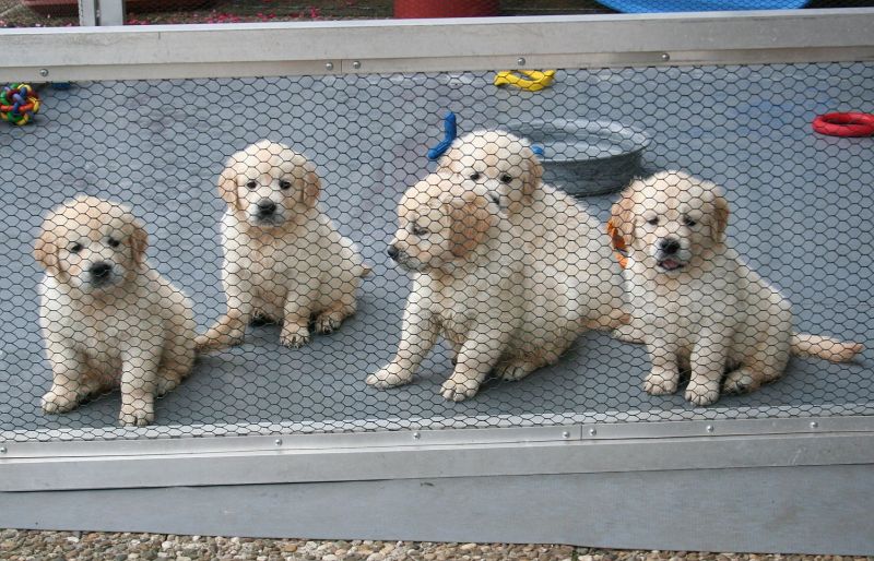 07.07.15 IMG_5486 A gk