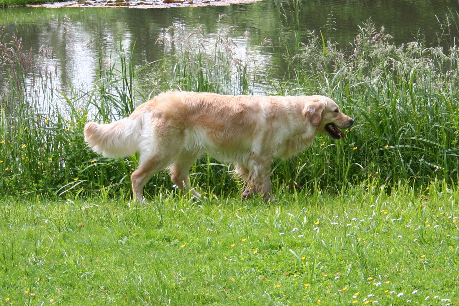08.06.13 Qwendy IMG_2806 A k