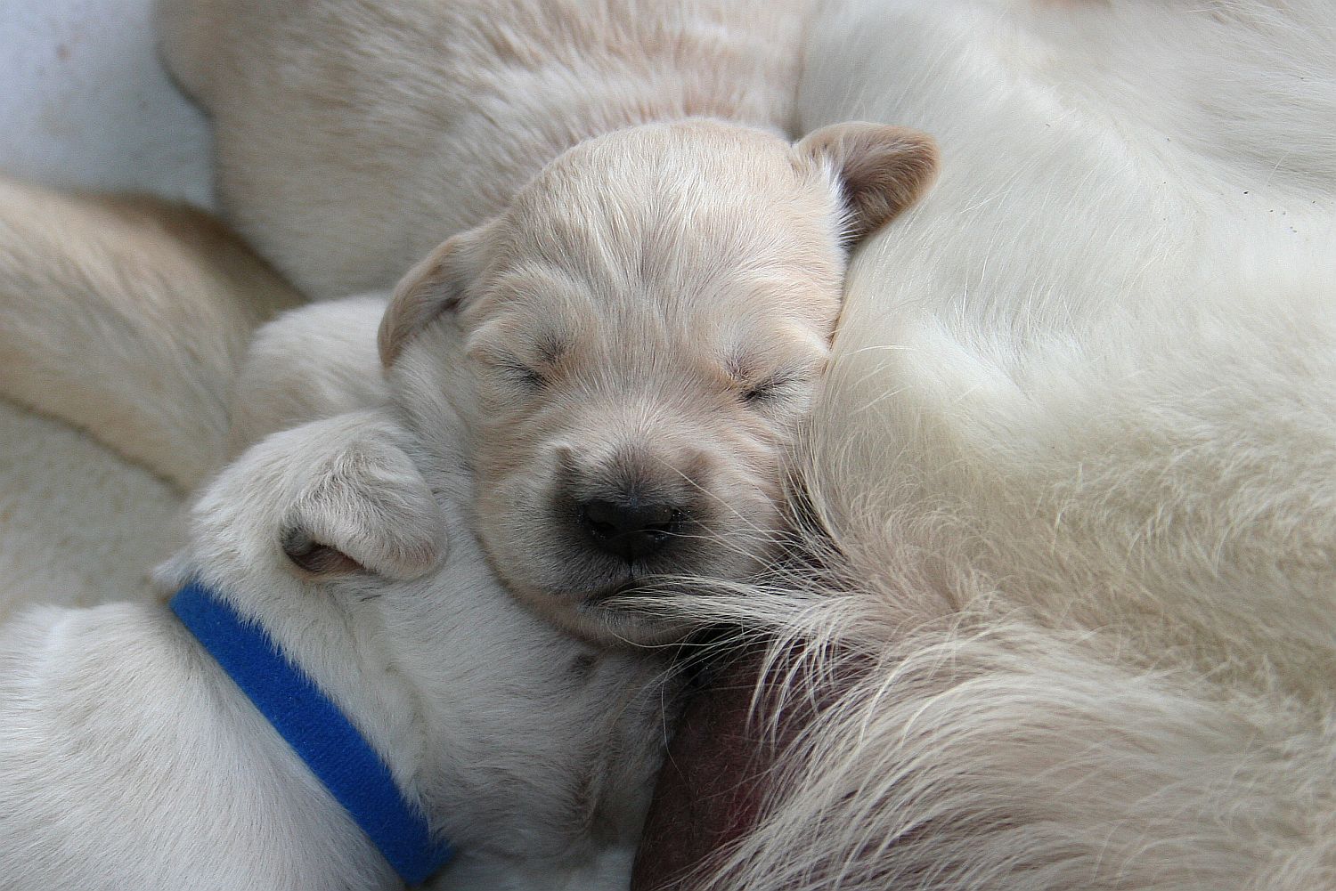 09.06.17 IMG_6130 A k