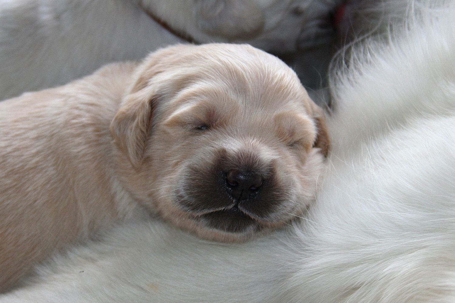 09.06.17 IMG_6131 A k