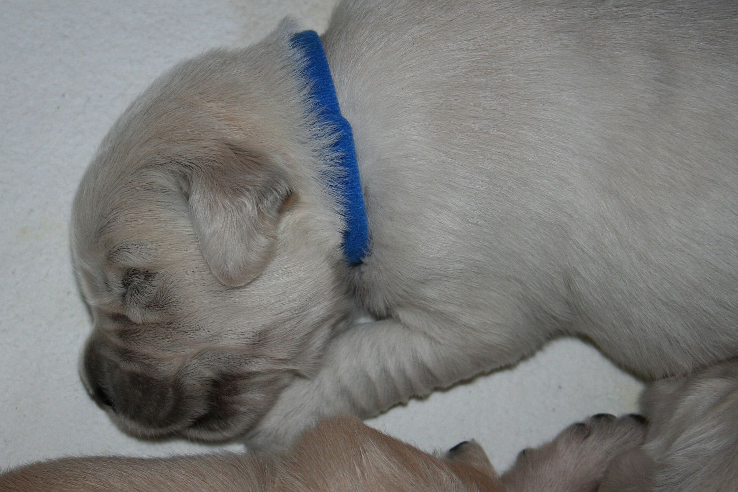 09.06.17 IMG_6161 A k