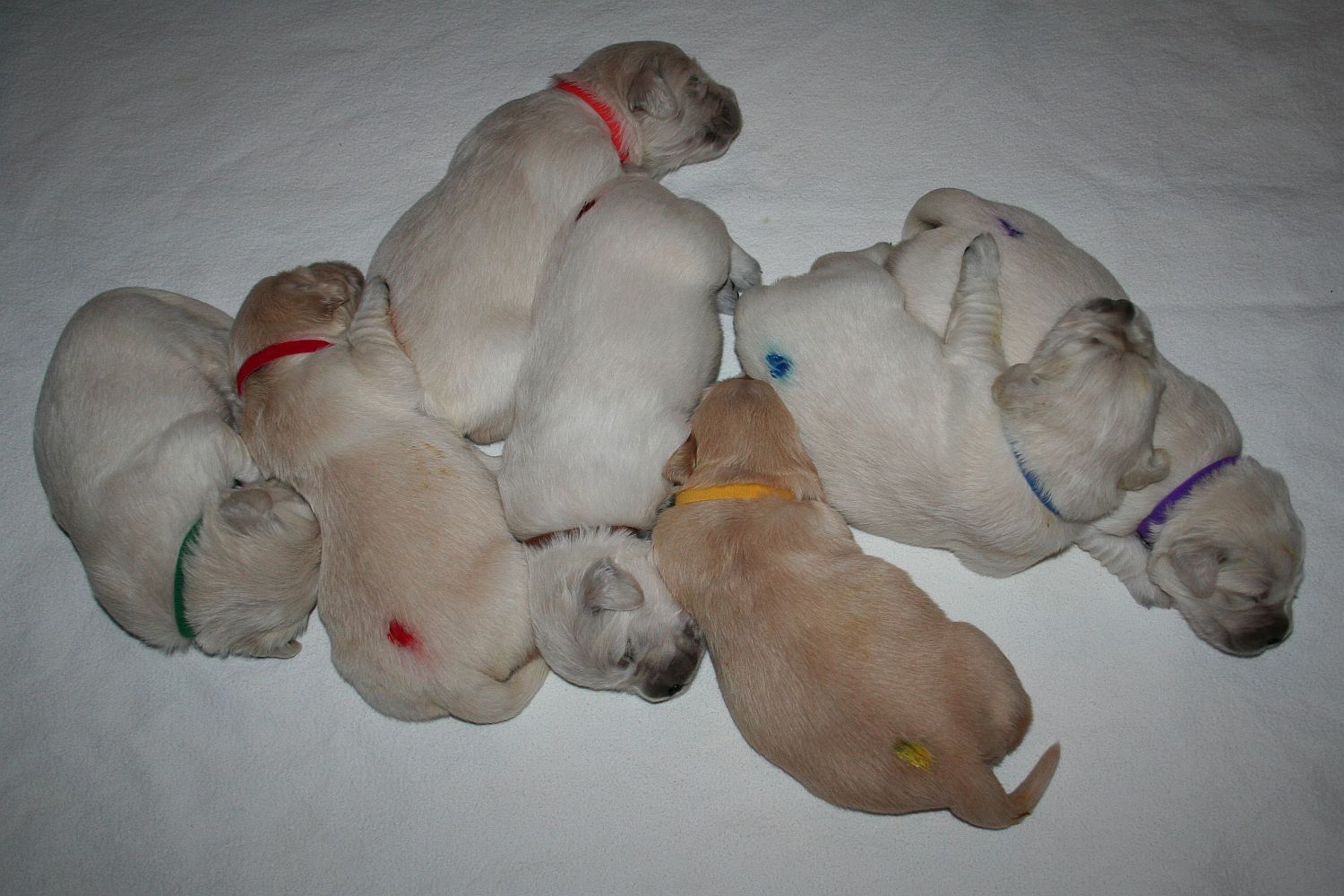 10.06.17 IMG_6166 A k