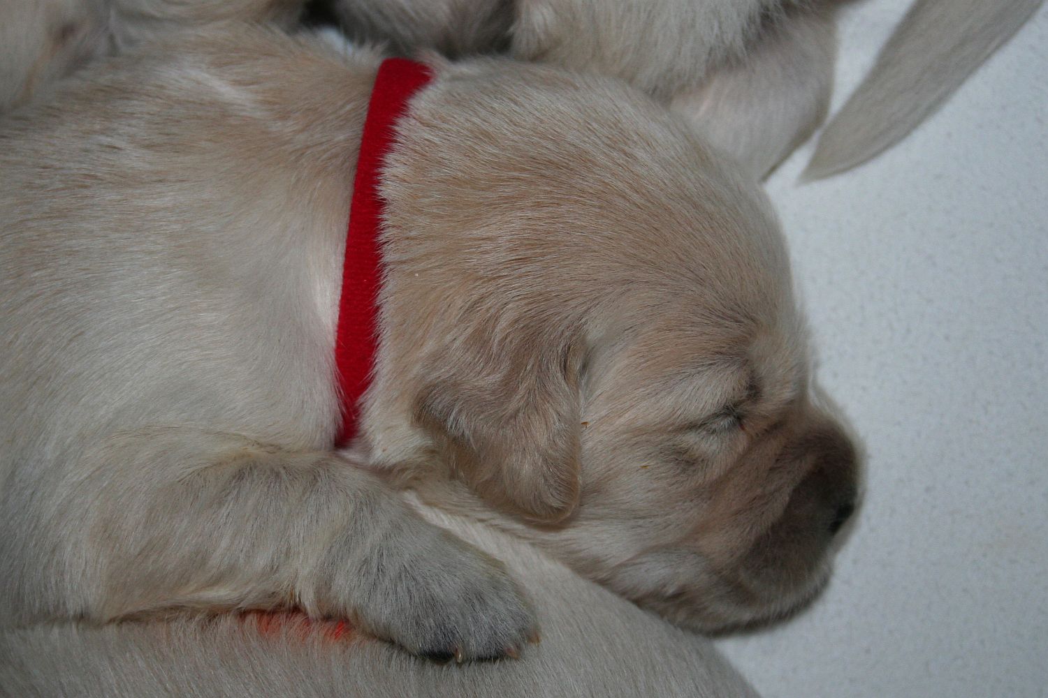 10.06.17 IMG_6173 A k