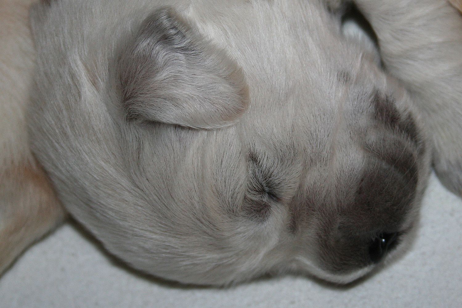 10.06.17 IMG_6176 A k