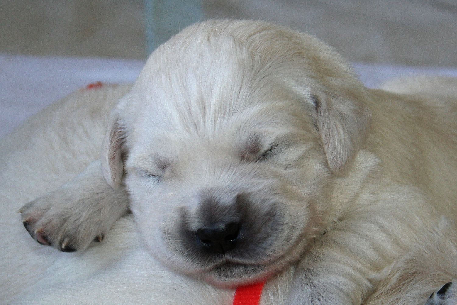 10.06.17 IMG_6188 A k