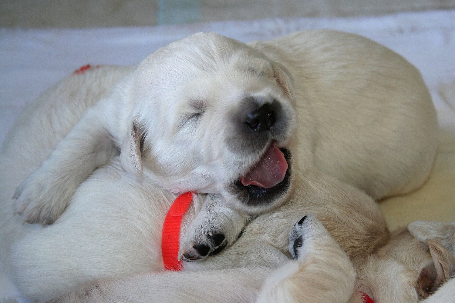 10.06.17 IMG_6189 A k