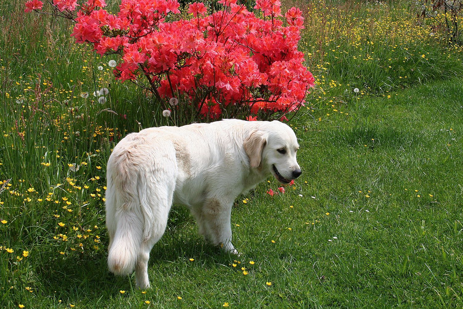 13.05.18 Yasha IMG_6922 A k