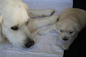 14.06.10 ML IMG_5146 k