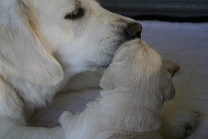 14.06.10 ML IMG_5175 k