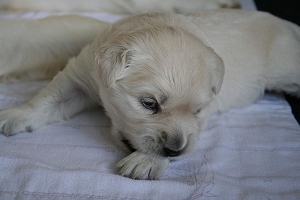 14.06.10 ML IMG_5205 k