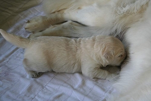 14.06.10 ML IMG_5239 k