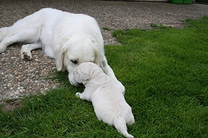 14.06.10 ML im Gras IMG_5120 k