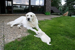 14.06.10 ML im Gras IMG_5130 k