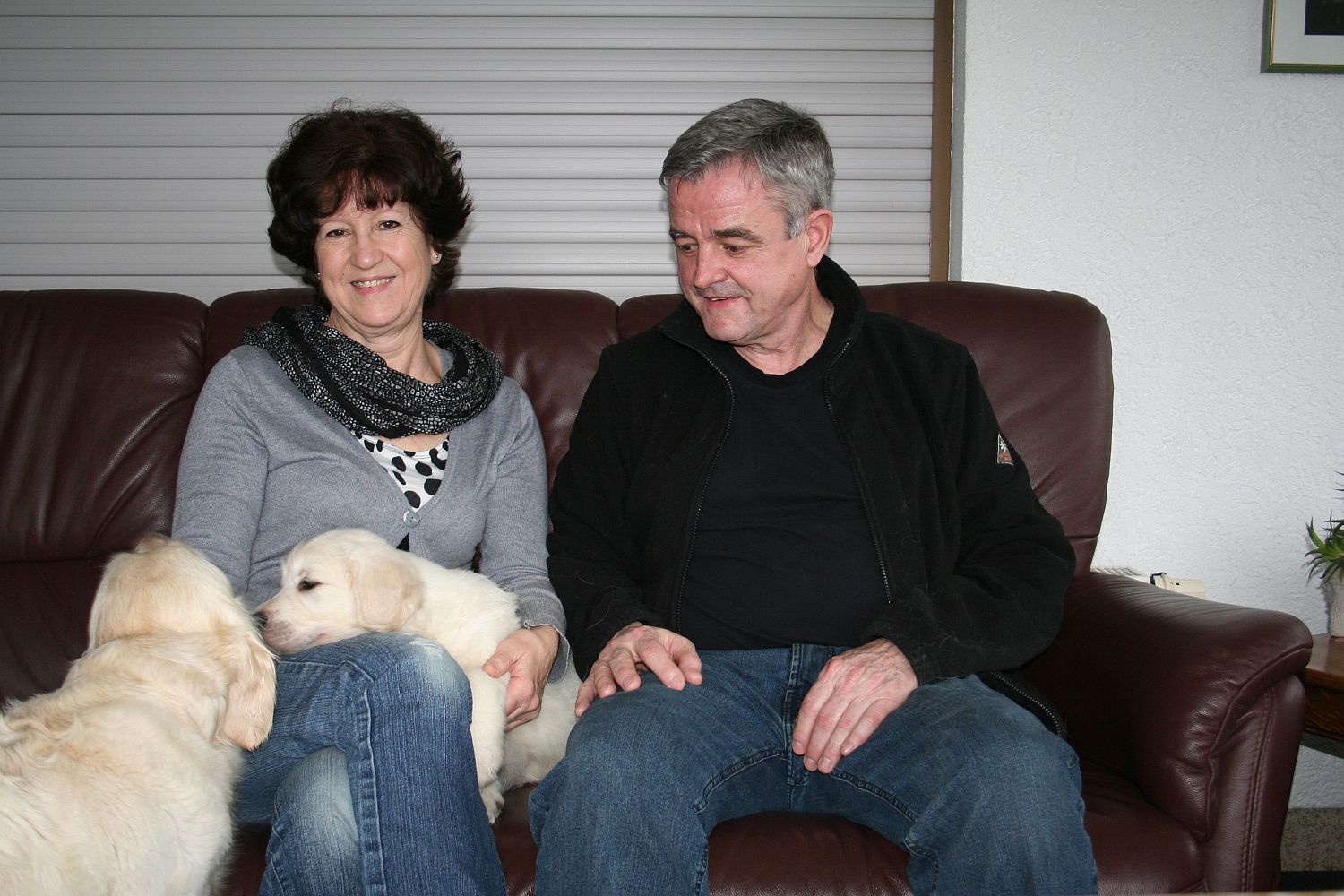 16.01.15 braun IMG_1890 k