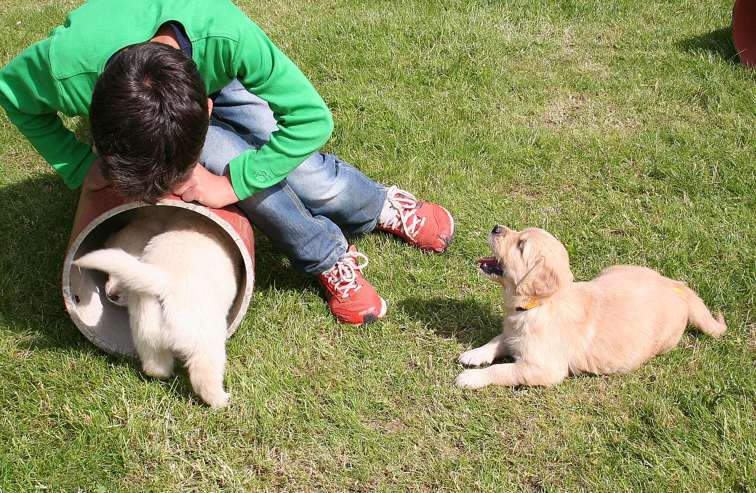 17.05.14 IMG_1433 A k