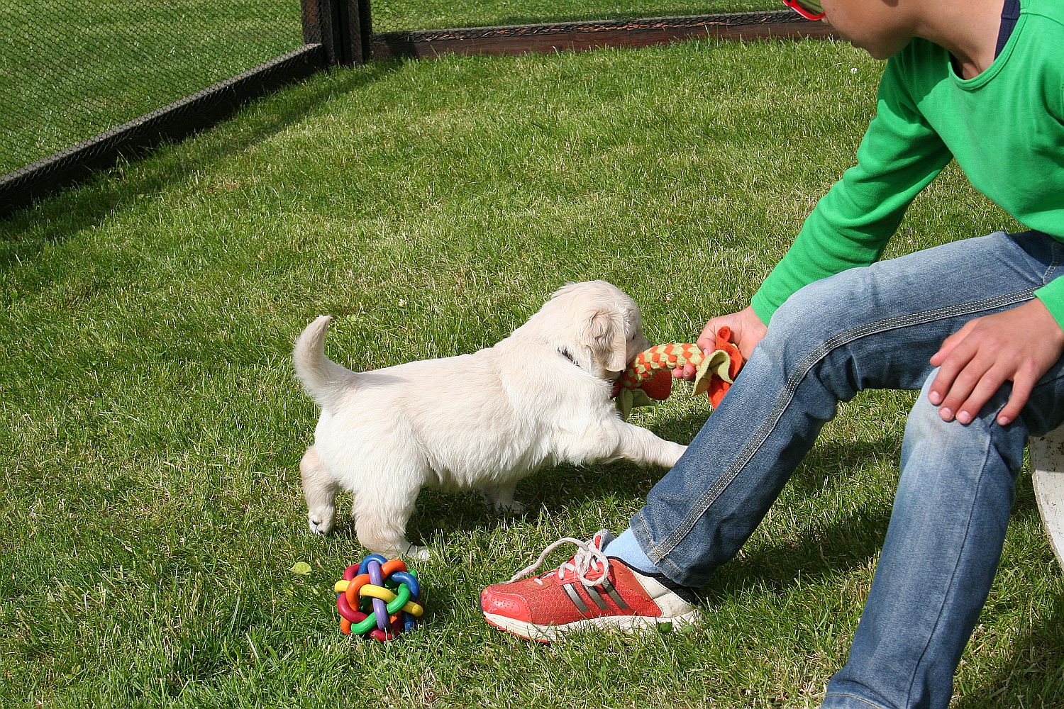 17.05.14 IMG_1493 k