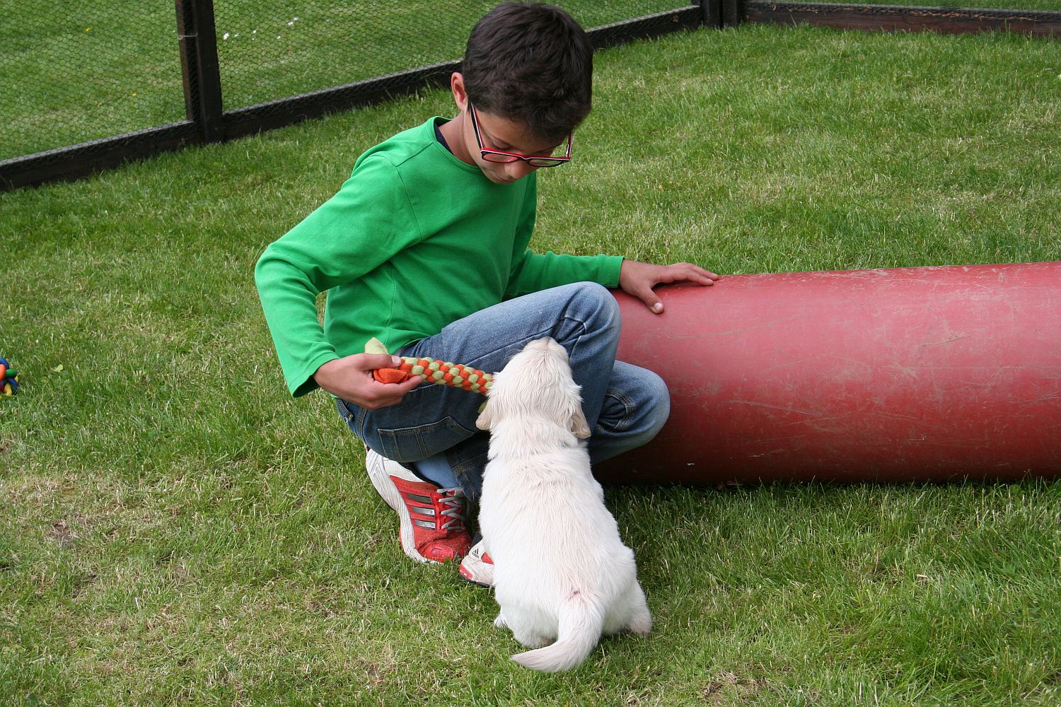 17.05.14 IMG_1507 k