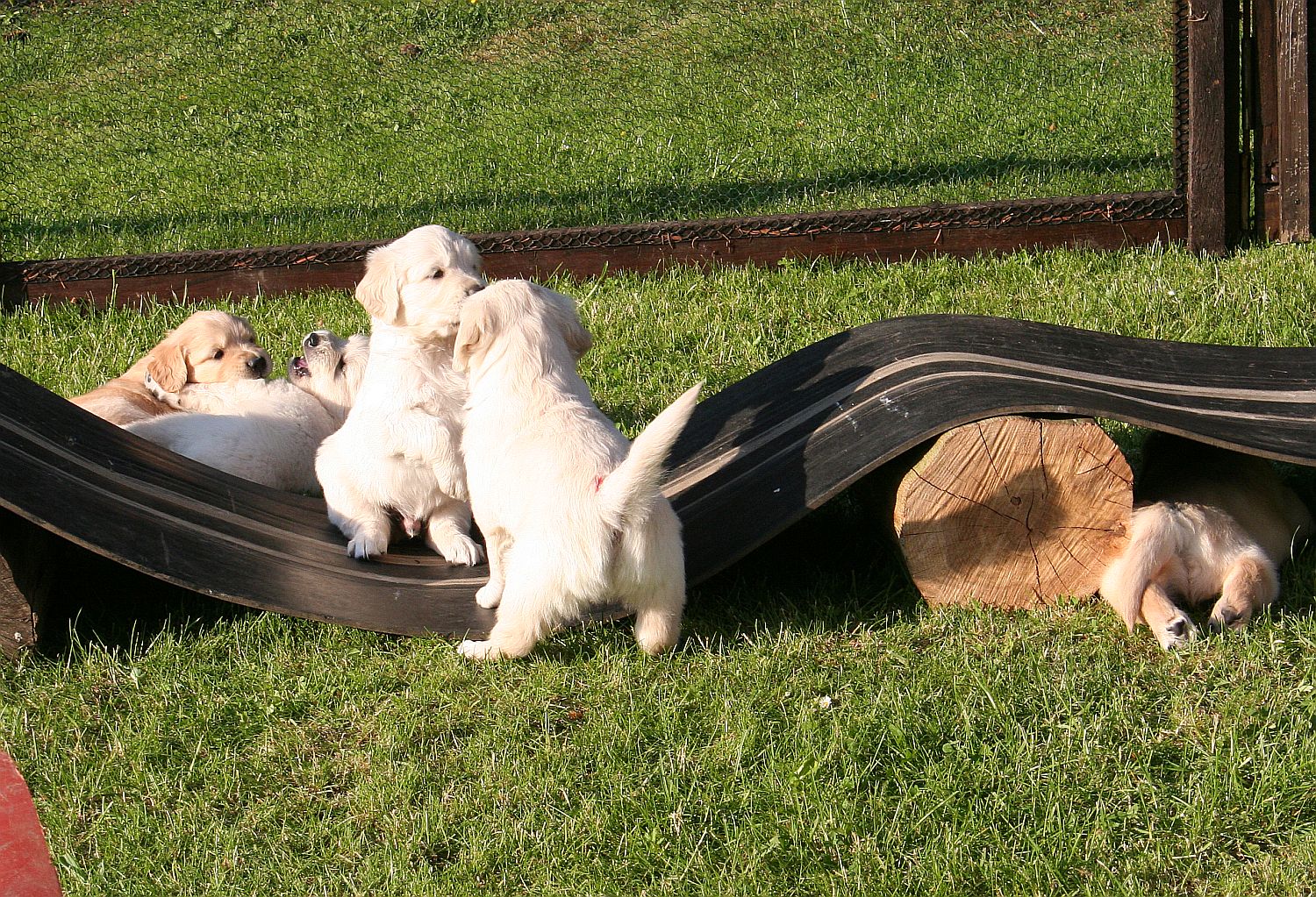 19.05.14 IMG_1675 A k