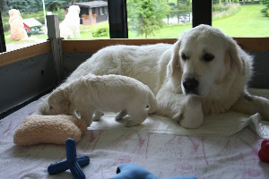 19.06.10 ML IMG_5407 k(1)