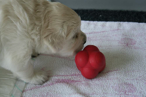 19.06.10 ML IMG_5414 k(1)