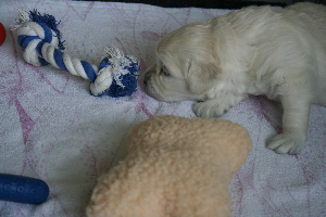 19.06.10 ML IMG_5416 k(1)