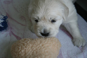 19.06.10 ML IMG_5419 k(1)