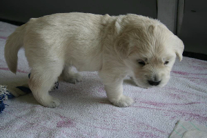 19.06.10 ML IMG_5439 k(1)