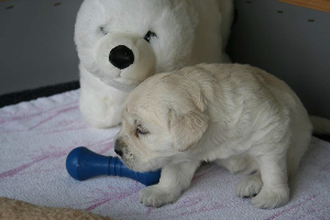 19.06.10 ML IMG_5452 k(1)