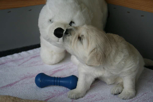 19.06.10 ML IMG_5453 k(1)