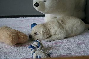 19.06.10 ML IMG_5470 k(1)